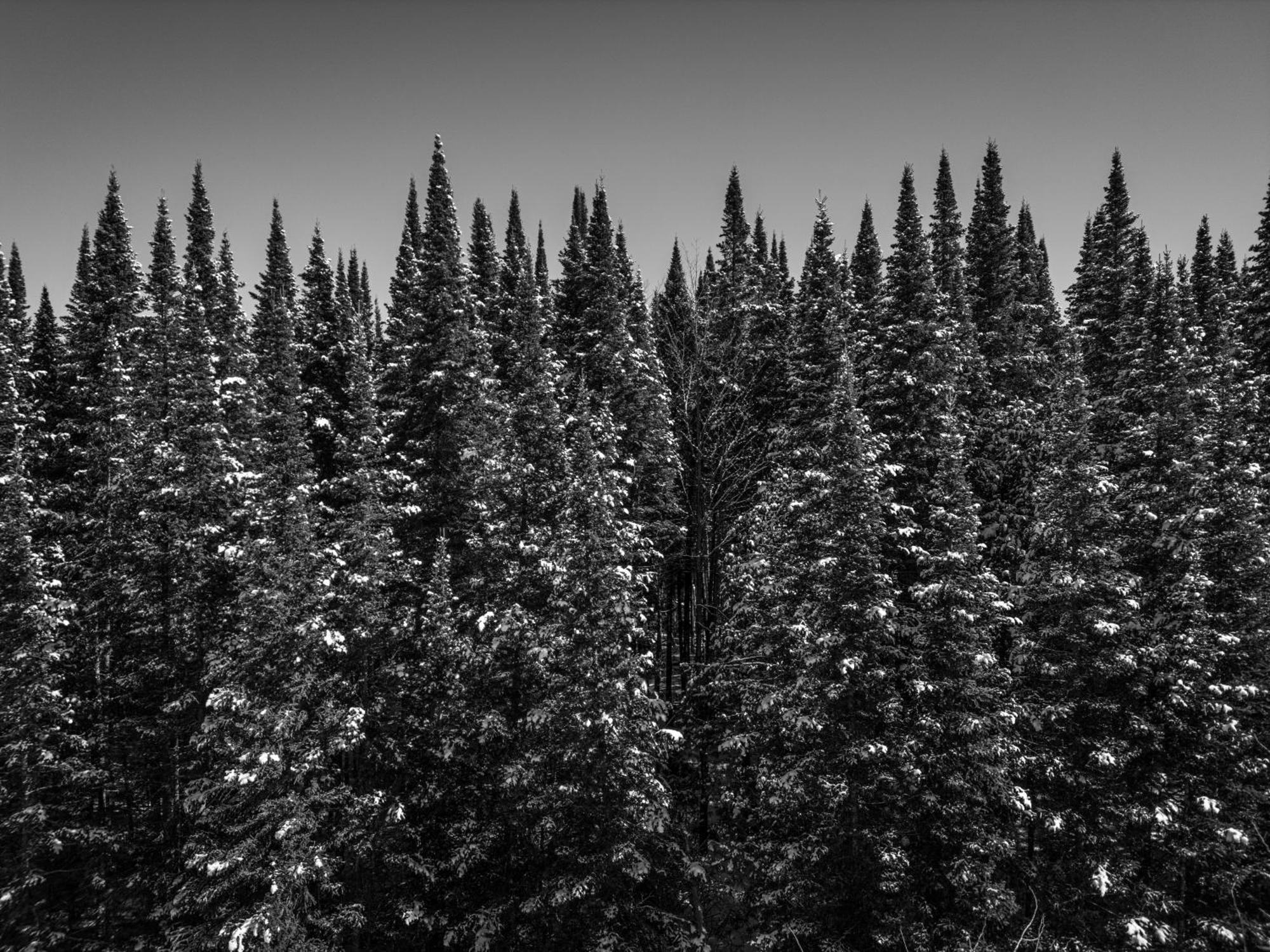 Otsego Resort Gaylord Esterno foto